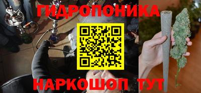 прущие грибы Нарткала